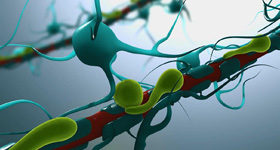 人体细胞医学动画制作