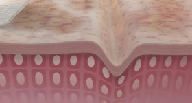 细胞壁医学演绎 动画制作