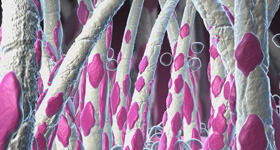 细胞医学动画实验 动画制作