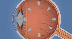 眼部医学动画制作