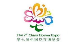 花卉博览会活动策划  动画制作