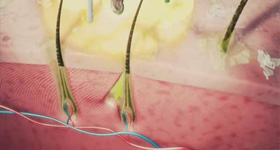 洗发水药理表现动画 动画制作