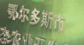 亿鼎农业  动画制作