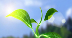 亿利天然药业  动画制作