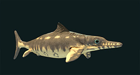 生物模型  动画制作