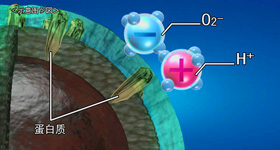 夏普科技产品演示 动画制作